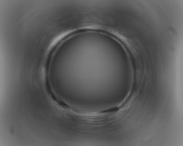 X0000114701319200910211244