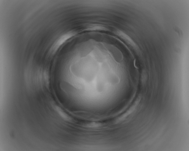 X0000114701321200910211244