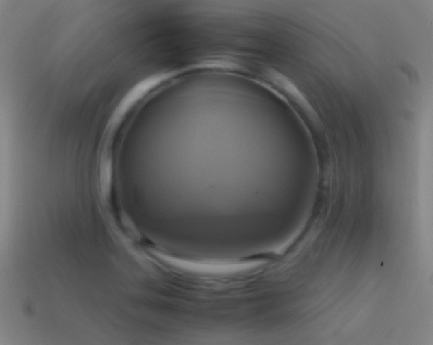 X0000114701323200910211244