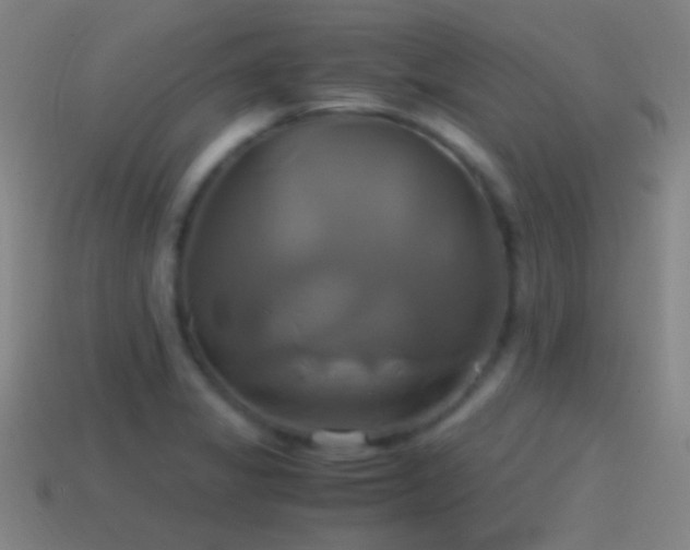 X0000114701325200910211244