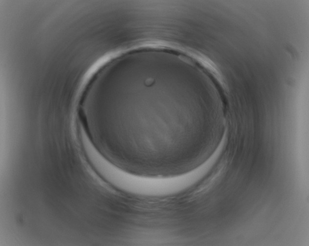 X0000114701326200910211244