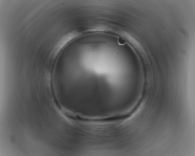 X0000114701329200910211244