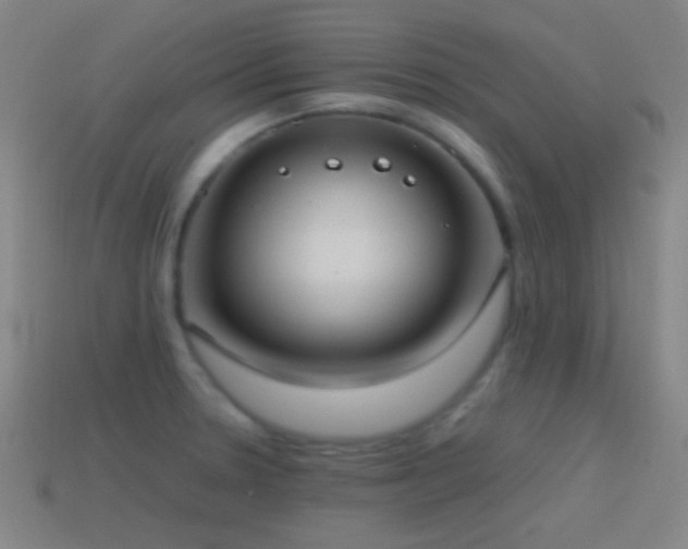 X0000114701330200910211244