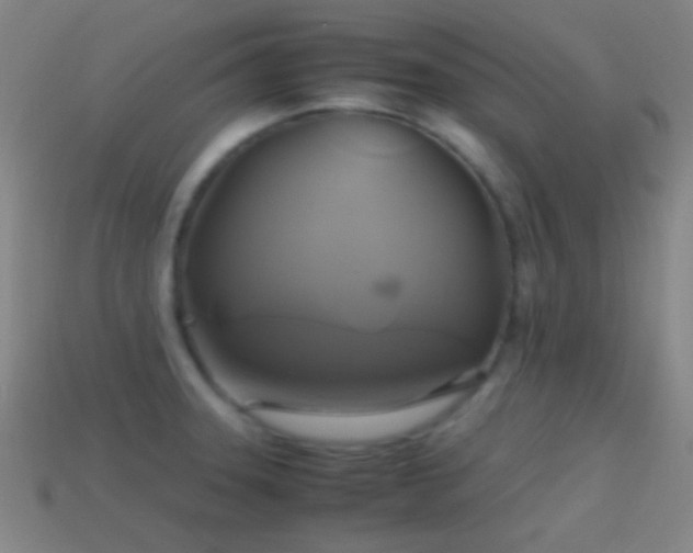 X0000114701331200910211244