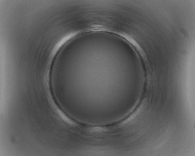 X0000114701333200910211244