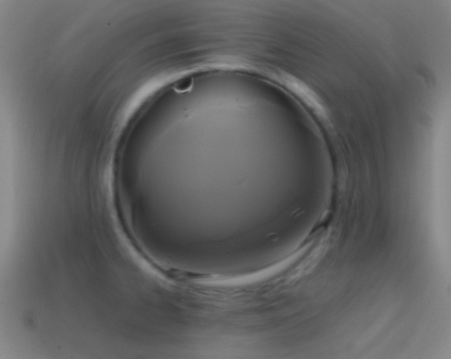 X0000114701334200910211244