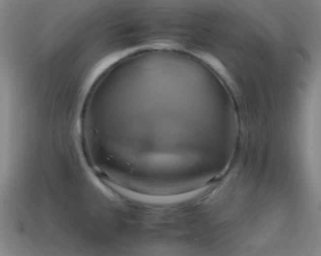 X0000114701335200910211244