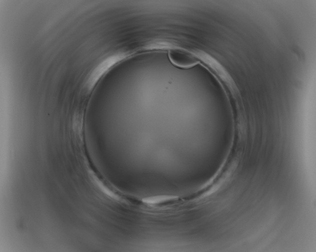 X0000114701337200910211244