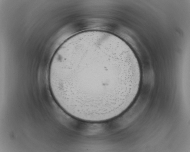 X0000114701338200910211244