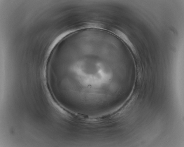 X0000114701339200910211244