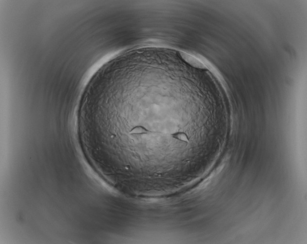 X0000114701341200910211244