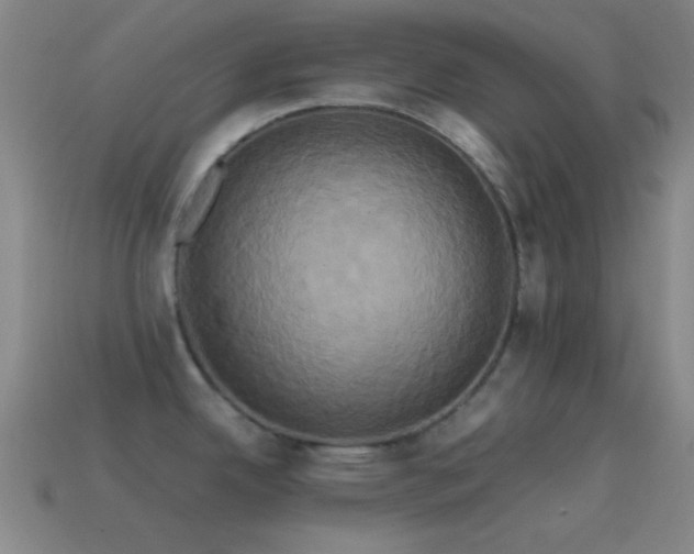 X0000114701342200910211244