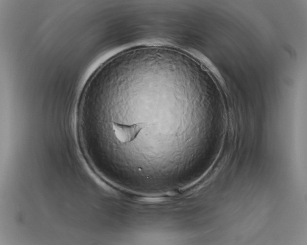 X0000114701343200910211244