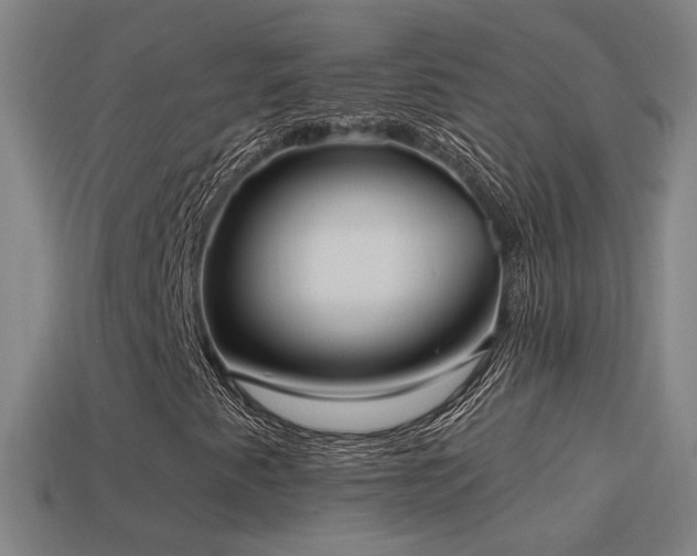 X0000114701345200910211244