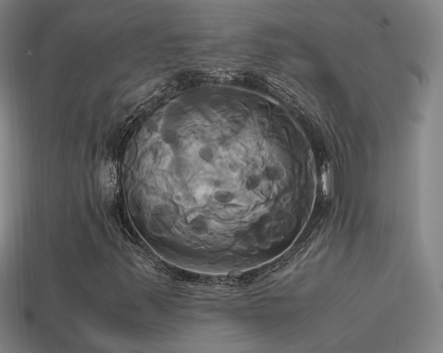 X0000114701347200910211244