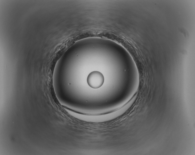 X0000114701349200910211244