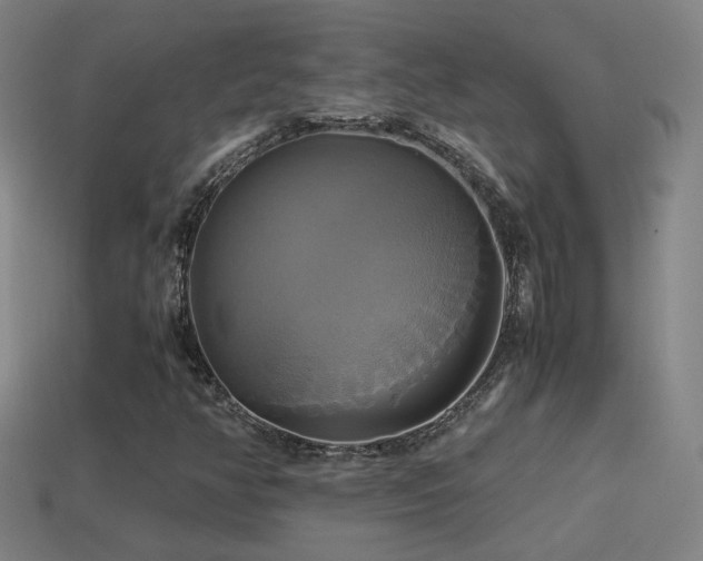 X0000114701350200910211244