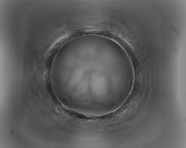 X0000114701351200910211244