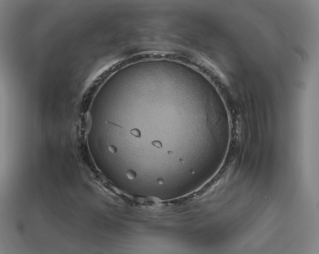 X0000114701352200910211244