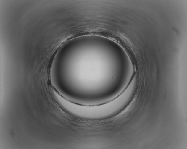 X0000114701353200910211244