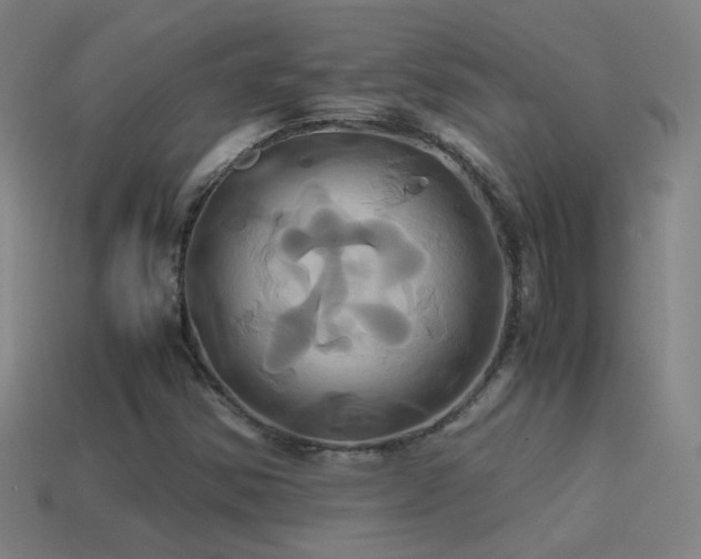 X0000114701354200910211244