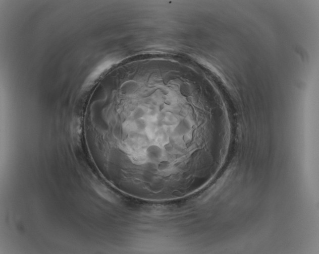 X0000114701355200910211244