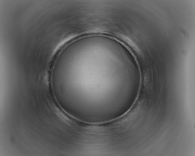 X0000114701356200910211244