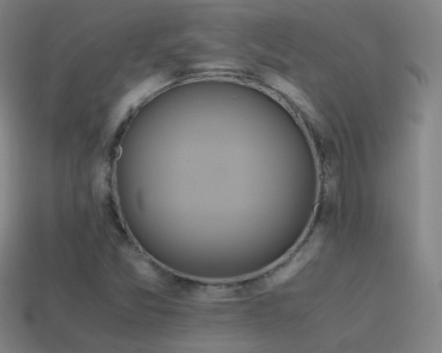 X0000114701357200910211244