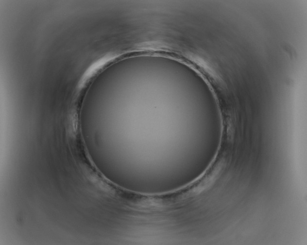 X0000114701358200910211244