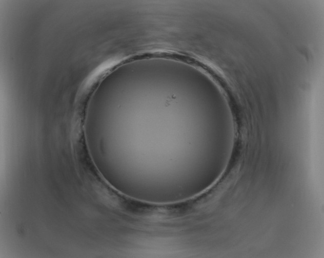 X0000114701359200910211243