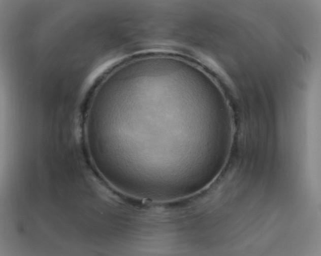 X0000114701360200910211243