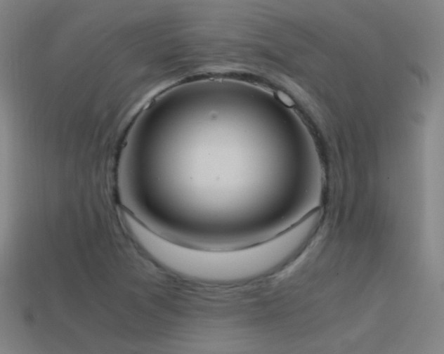 X0000114701361200910211243