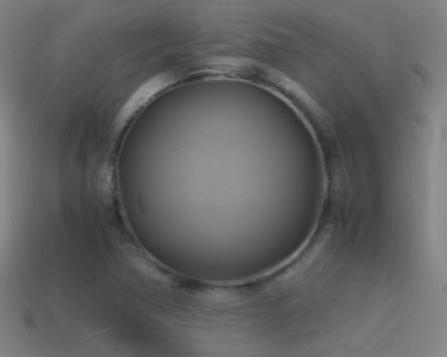 X0000114701362200910211243