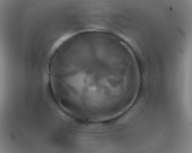 X0000114701363200910211243