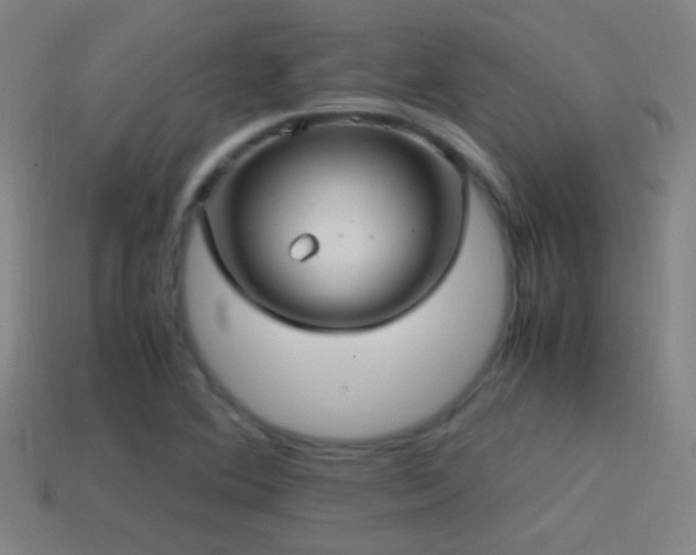 X0000114701364200910211243