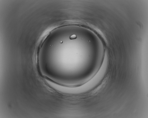 X0000114701365200910211243