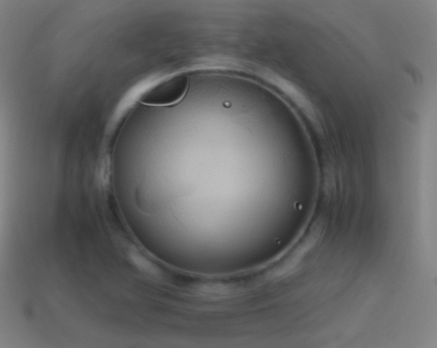 X0000114701366200910211243