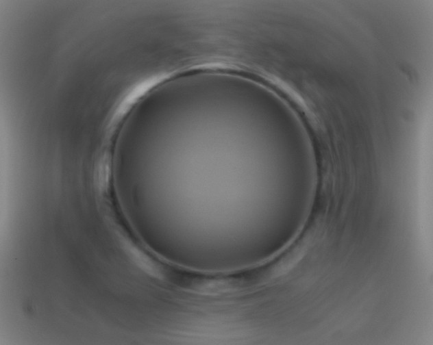 X0000114701367200910211243