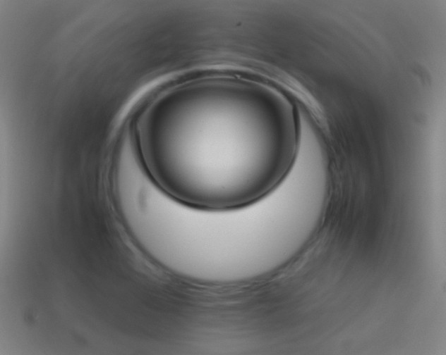 X0000114701368200910211243