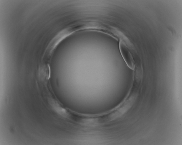 X0000114701369200910211243