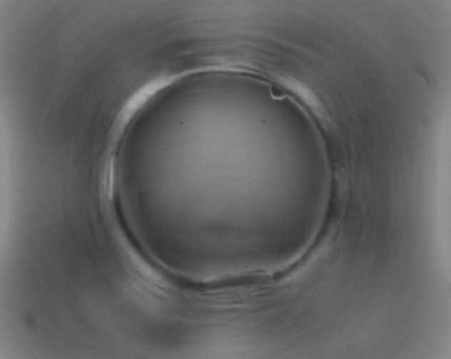 X0000114701371200910211243