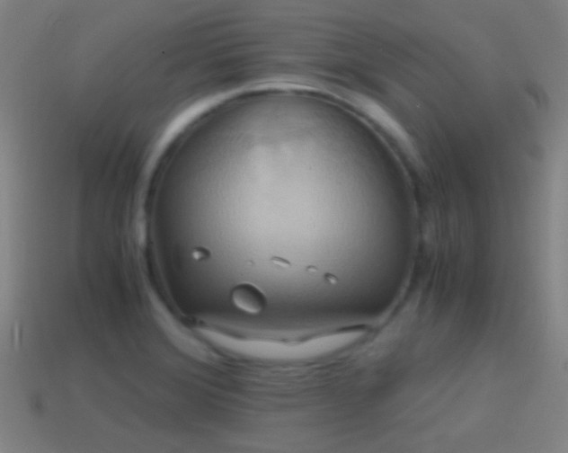 X0000114701372200910211243