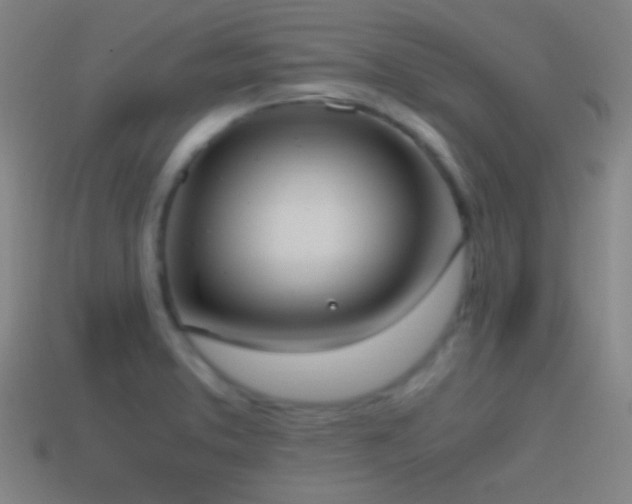 X0000114701373200910211243