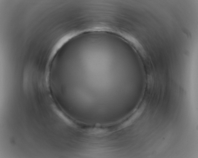 X0000114701374200910211243