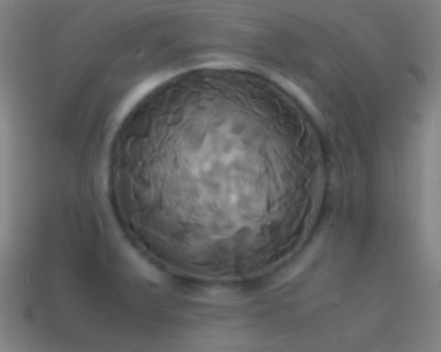 X0000114701375200910211243