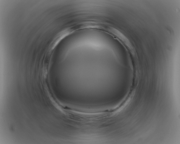 X0000114701377200910211243