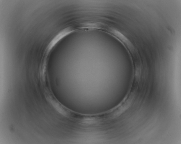 X0000114701378200910211243