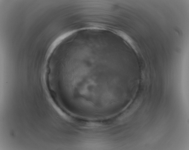 X0000114701379200910211243