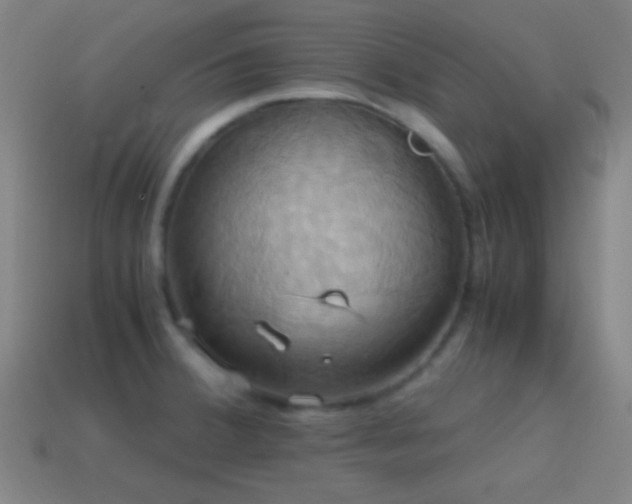 X0000114701380200910211243