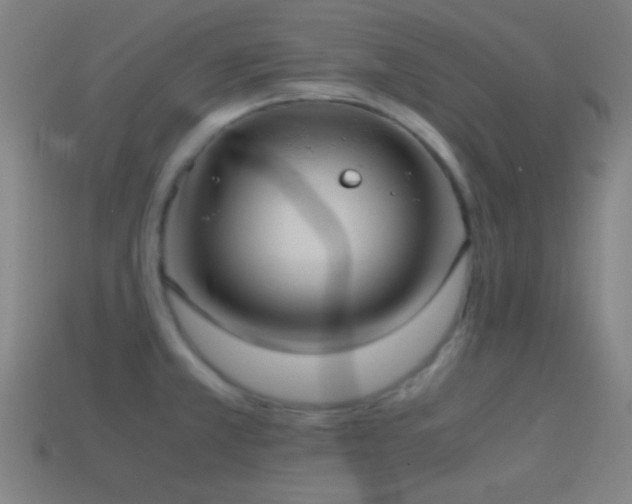 X0000114701381200910211243